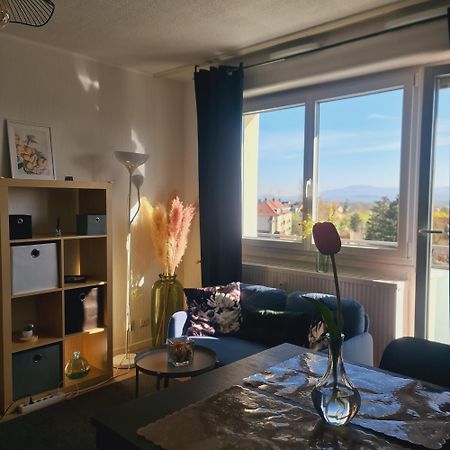 Studio Kaan Avec Terasse 5Mn Basel Airport Saint-Louis  Zewnętrze zdjęcie